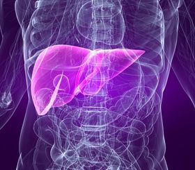 New research highlights public confusion about liver disease