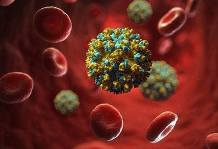 SaBTO Hepatitis E virus and solid organ transplantation