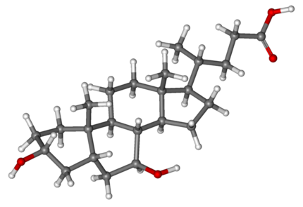 Management of PBC